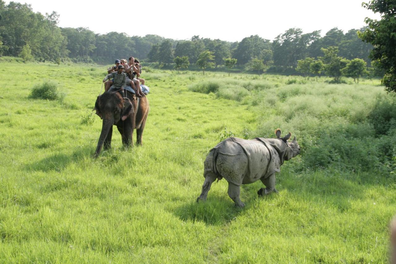 Park Safari Resort Sauraha Εξωτερικό φωτογραφία